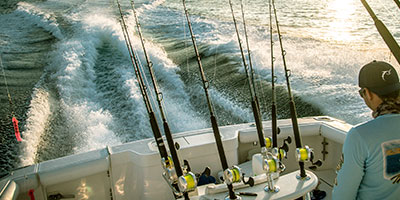 5 Reasons to Fish the Marina Pez Vela Open